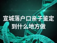 宣城落户口亲子鉴定到什么地方做