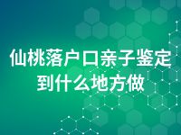 仙桃落户口亲子鉴定到什么地方做