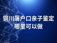 铜川落户口亲子鉴定哪里可以做