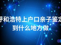 呼和浩特上户口亲子鉴定到什么地方做