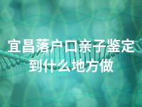 宜昌落户口亲子鉴定到什么地方做