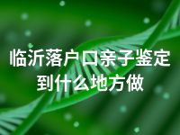 临沂落户口亲子鉴定到什么地方做