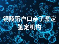 铜陵落户口亲子鉴定鉴定机构