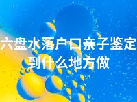 六盘水落户口亲子鉴定到什么地方做