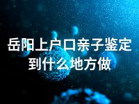 岳阳上户口亲子鉴定到什么地方做