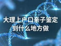 大理上户口亲子鉴定到什么地方做