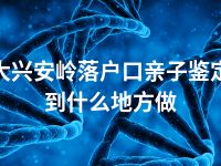 大兴安岭落户口亲子鉴定到什么地方做