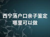 西宁落户口亲子鉴定哪里可以做