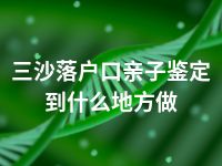 三沙落户口亲子鉴定到什么地方做