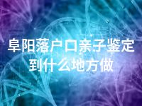 阜阳落户口亲子鉴定到什么地方做