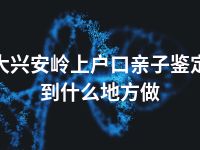 大兴安岭上户口亲子鉴定到什么地方做