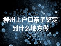 柳州上户口亲子鉴定到什么地方做