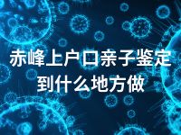 赤峰上户口亲子鉴定到什么地方做