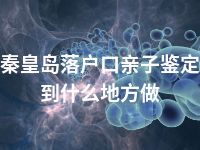 秦皇岛落户口亲子鉴定到什么地方做