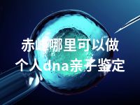 赤峰哪里可以做个人dna亲子鉴定