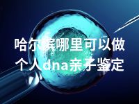 哈尔滨哪里可以做个人dna亲子鉴定