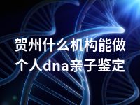 贺州什么机构能做个人dna亲子鉴定