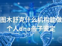 图木舒克什么机构能做个人dna亲子鉴定