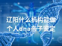 辽阳什么机构能做个人dna亲子鉴定