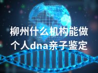 柳州什么机构能做个人dna亲子鉴定