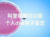 阿里哪里可以做个人dna亲子鉴定