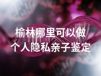 榆林哪里可以做个人隐私亲子鉴定