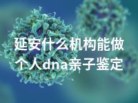 延安什么机构能做个人dna亲子鉴定