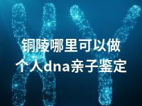 铜陵哪里可以做个人dna亲子鉴定