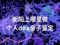 衡阳上哪里做个人dna亲子鉴定