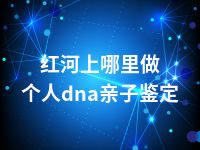 红河上哪里做个人dna亲子鉴定