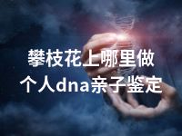 攀枝花上哪里做个人dna亲子鉴定