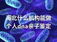 海北什么机构能做个人dna亲子鉴定