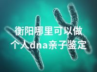 衡阳哪里可以做个人dna亲子鉴定