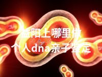 益阳上哪里做个人dna亲子鉴定