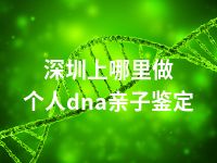 深圳上哪里做个人dna亲子鉴定