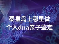 秦皇岛上哪里做个人dna亲子鉴定