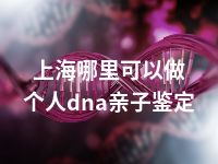 上海哪里可以做个人dna亲子鉴定