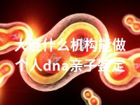 大连什么机构能做个人dna亲子鉴定