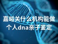 嘉峪关什么机构能做个人dna亲子鉴定