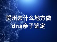 贺州去什么地方做dna亲子鉴定