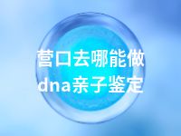 营口去哪能做dna亲子鉴定