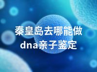 秦皇岛去哪能做dna亲子鉴定