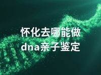 怀化去哪能做dna亲子鉴定