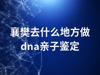 襄樊去什么地方做dna亲子鉴定