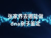 张家界去哪能做dna亲子鉴定