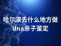 哈尔滨去什么地方做dna亲子鉴定