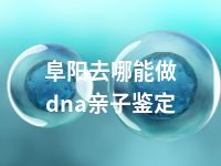 阜阳去哪能做dna亲子鉴定