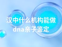 汉中什么机构能做dna亲子鉴定