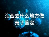 海西去什么地方做亲子鉴定