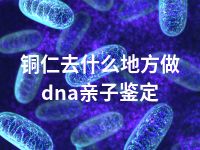 铜仁去什么地方做dna亲子鉴定